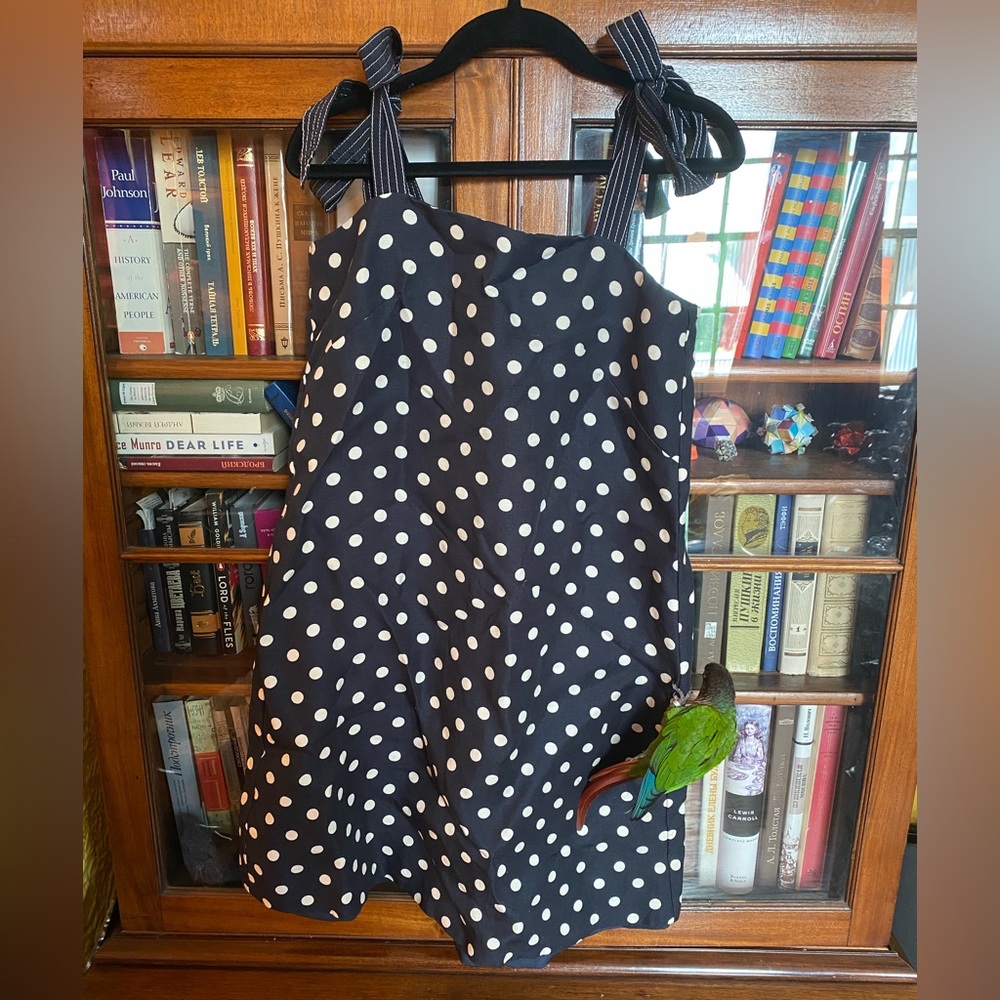 🌸 Springtime Dress 🌸